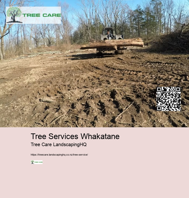 Tree Removal Whakatane