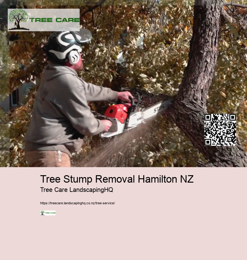 Arborist Hourly Rate NZ