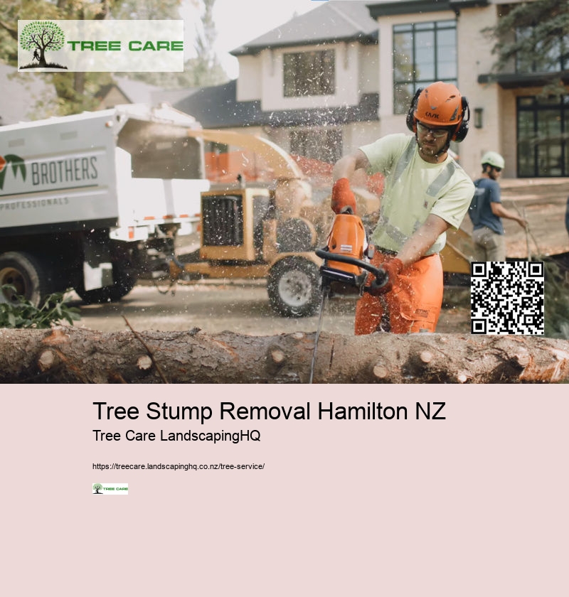 Best Time To Trim Trees NZ