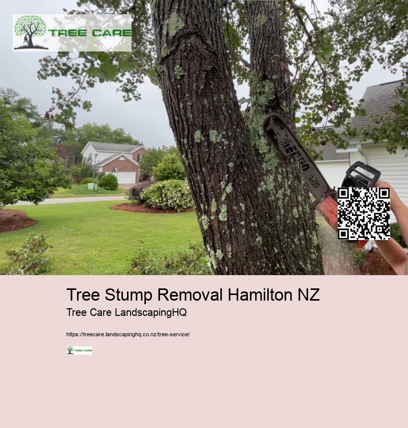 Tree Trimming Auckland