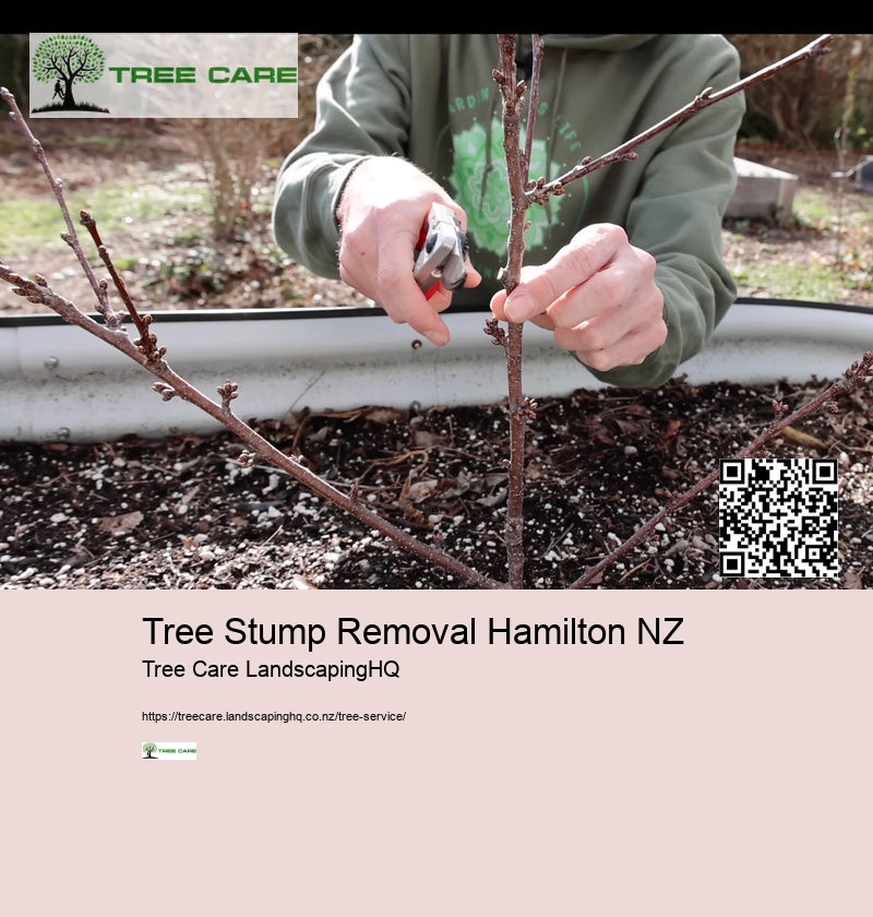 Arborists Auckland NZ