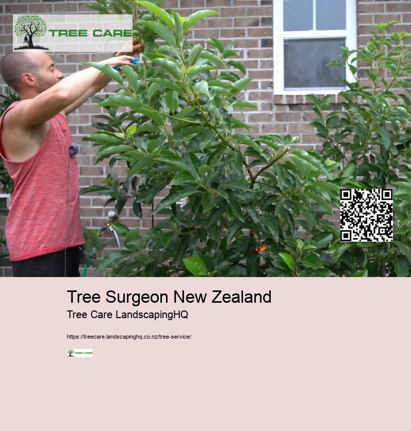 Tree Removal Auckland