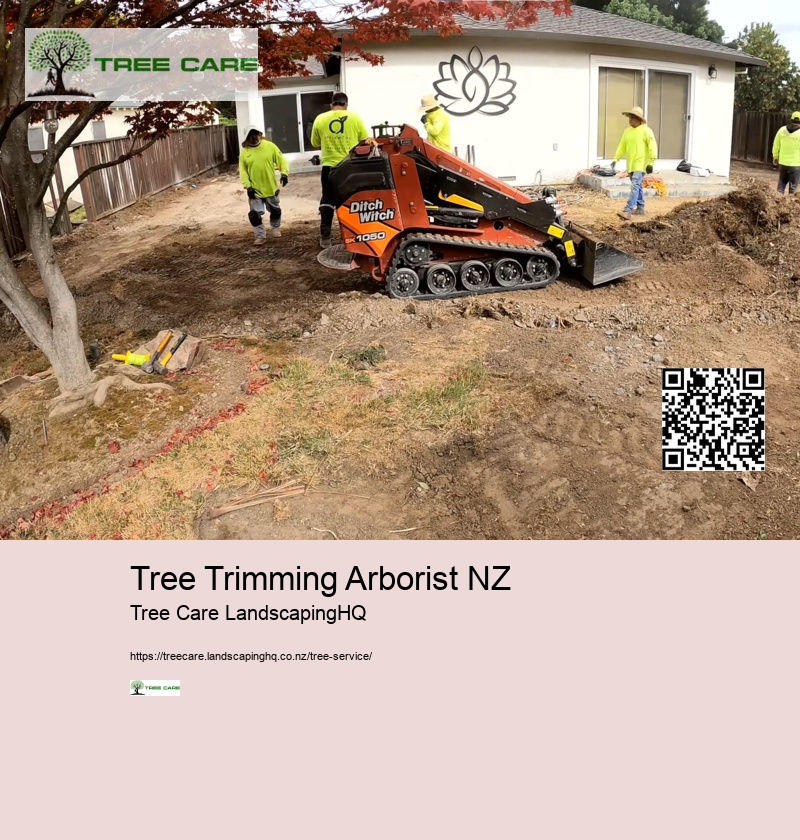 Tree Trimming Arborist NZ