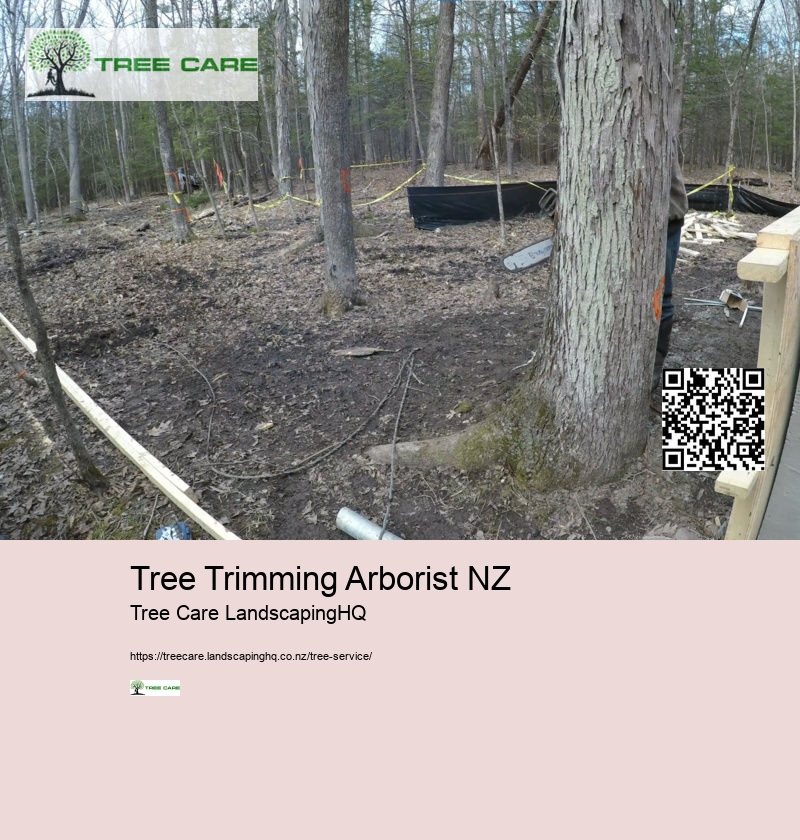 Arborist Auckland North Shore