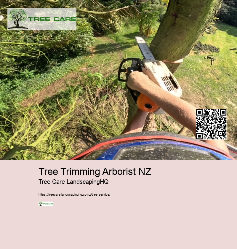 Tree Trimming East Auckland