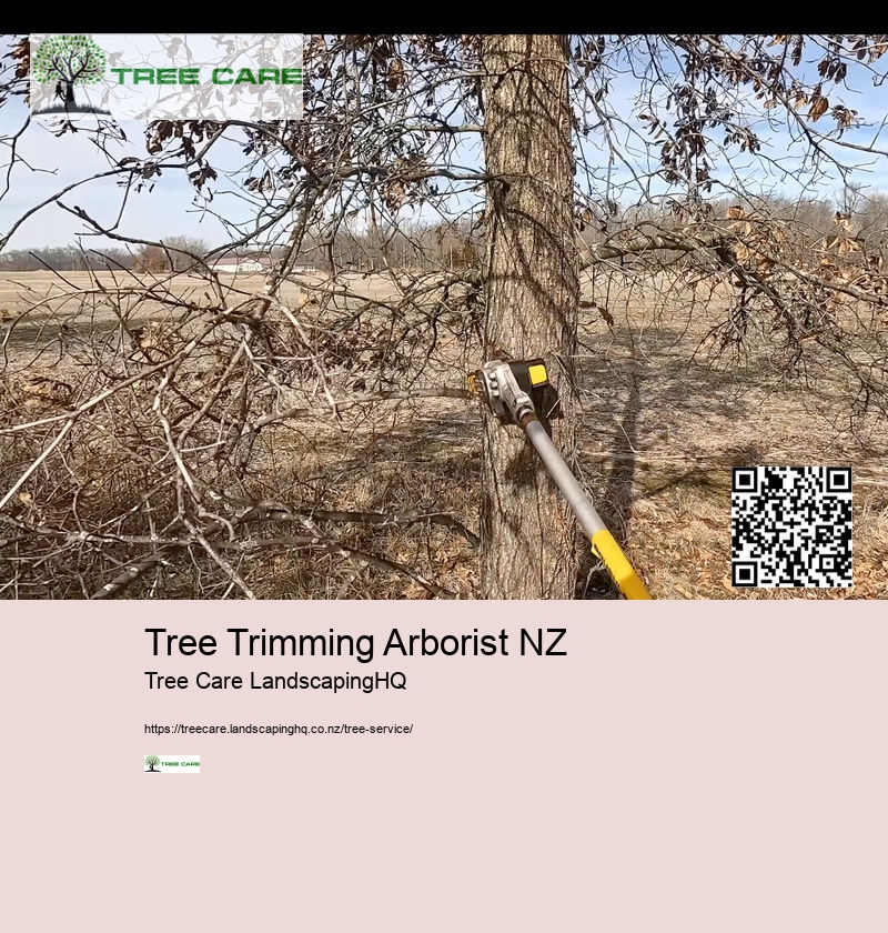 Tree Stump Removal Hamilton NZ