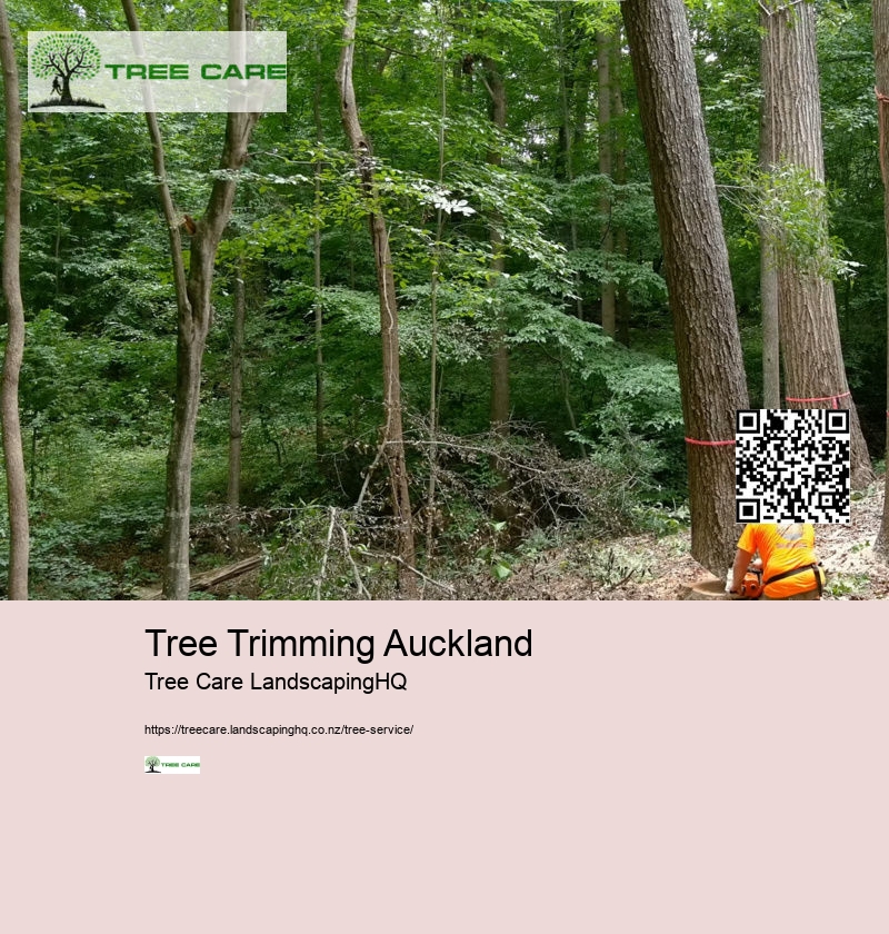 Wellington Arborist