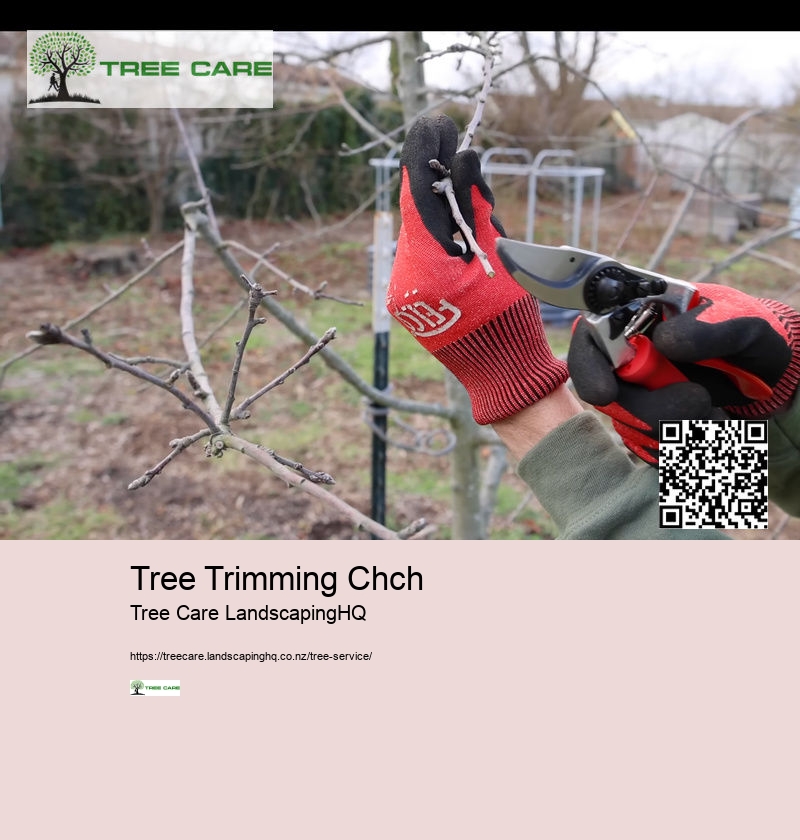 Professional Arborist