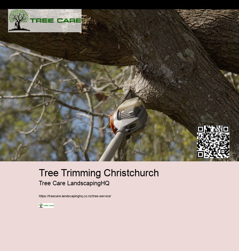 Arborist Nelson NZ