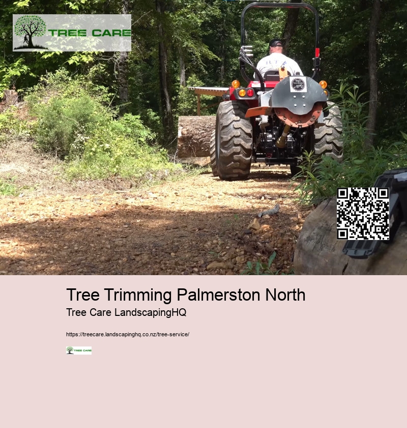 Tree Care NZ